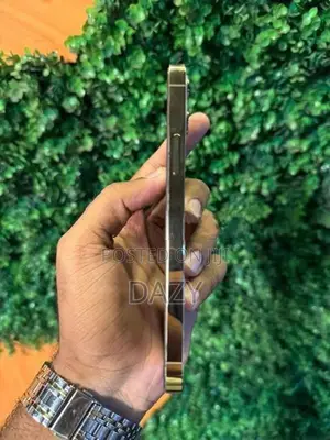 Apple iPhone 12 Pro (Used)