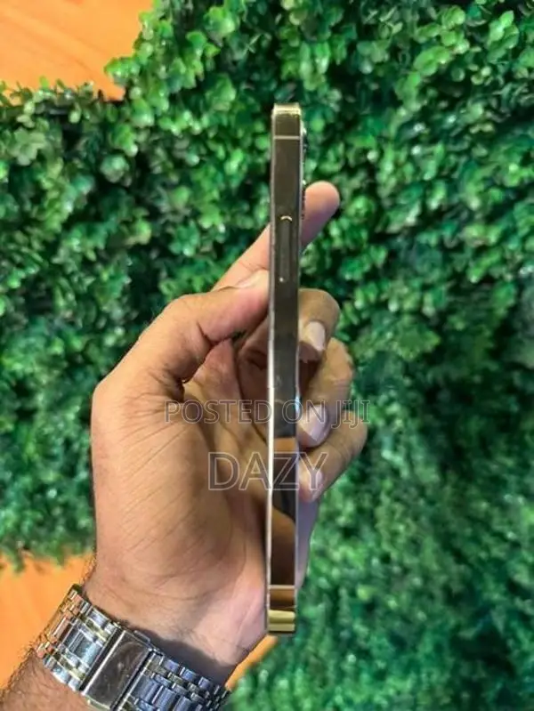 Apple iPhone 12 Pro (Used)