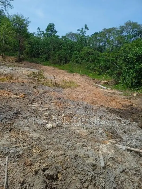 Land for Sale in Nagoda