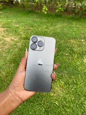 Apple iPhone 13 Pro (Used)