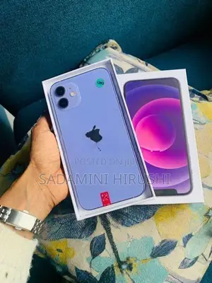 Apple iPhone 12 (Used)