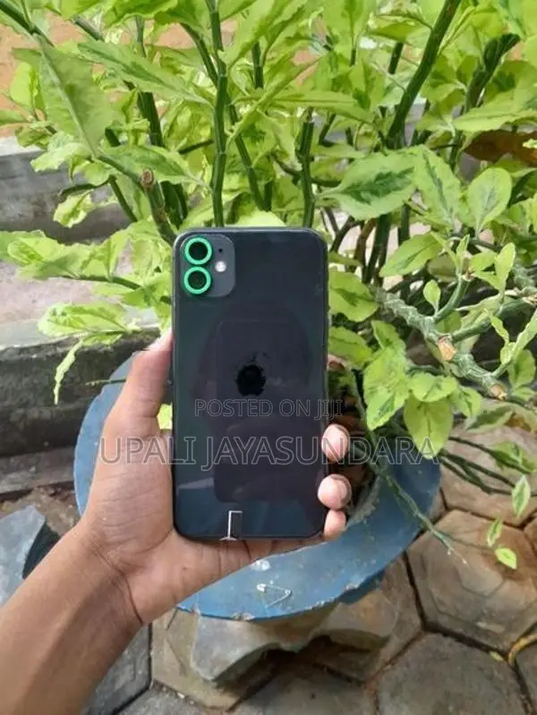Apple iPhone 11 (Used)