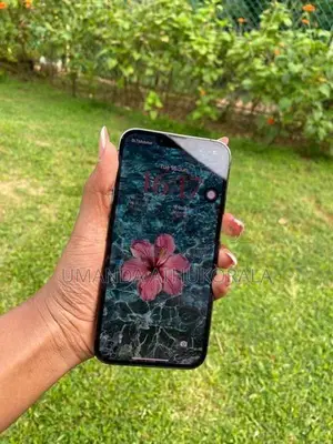 Apple iPhone 13 Pro (Used)