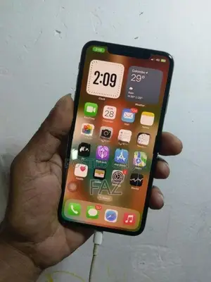 Apple iPhone XS Max 256GB (Used)