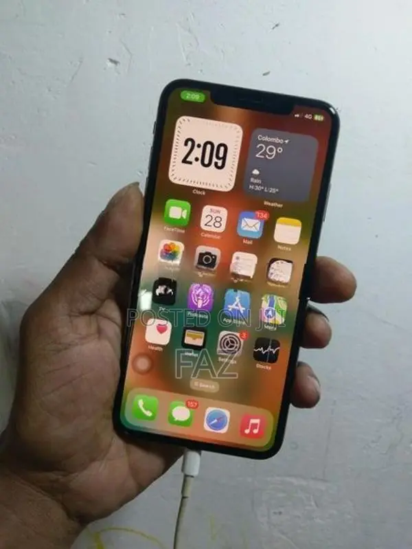 Apple iPhone XS Max 256GB (Used)
