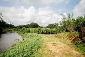 Land for Sale in Pitigala, Galle