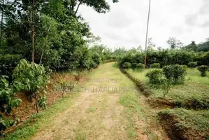 Land for Sale in Pitigala, Galle
