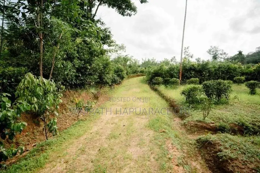 Land for Sale in Pitigala, Galle