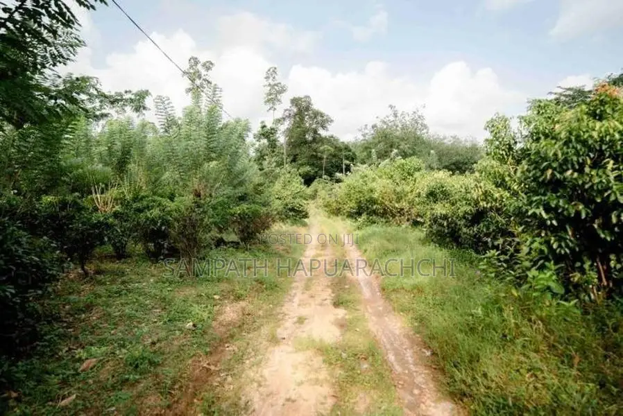 Land for Sale in Pitigala, Galle