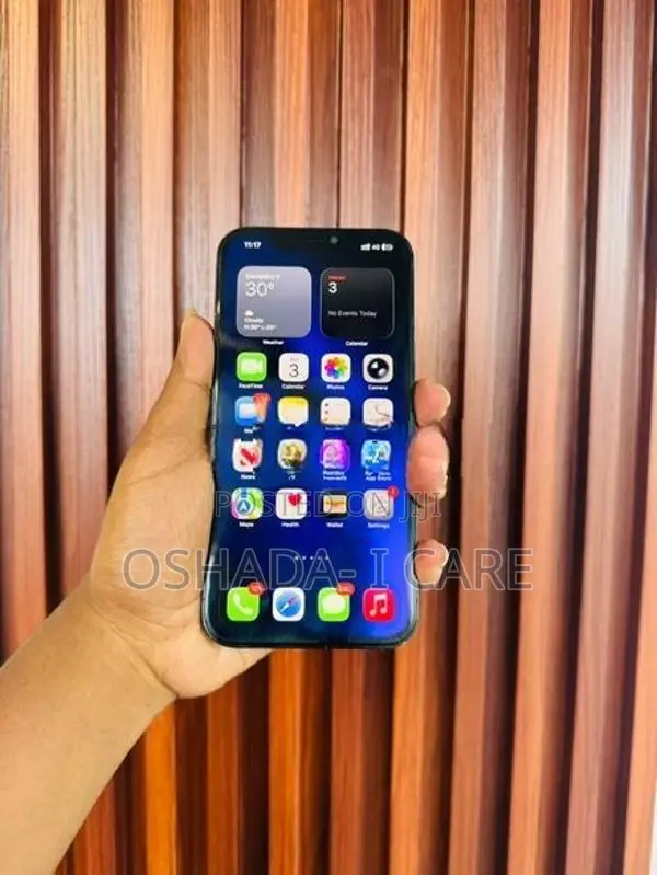 Apple iPhone 12 Pro Max 512GB (Used)