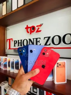 Apple iPhone 12 (Used)