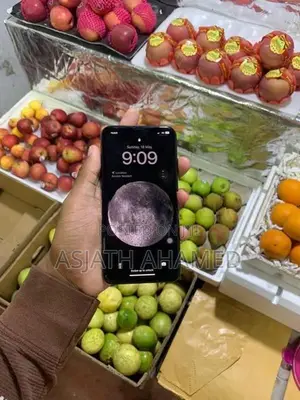 Apple iPhone XS Max (Used)