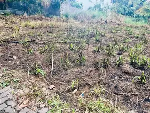 Land for Sale in Thunadahena - Malabe