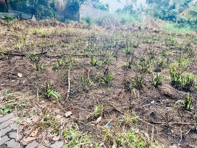 Land for Sale in Thunadahena - Malabe