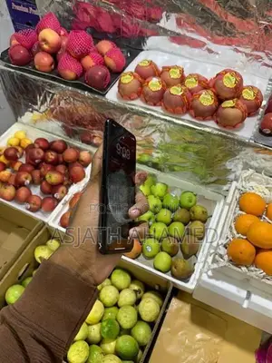 Apple iPhone XS Max (Used)
