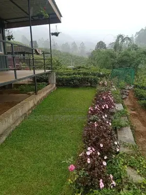 Land for Sale Hatton