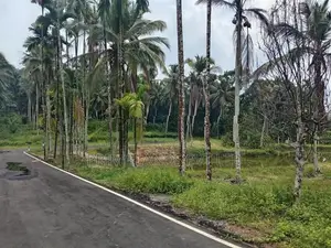 Land for Sale in Homagama