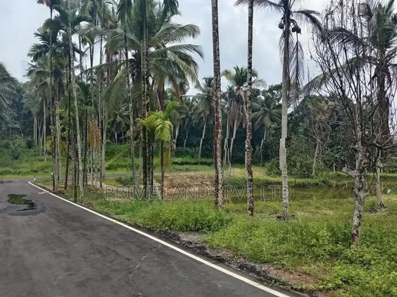 Land for Sale in Homagama