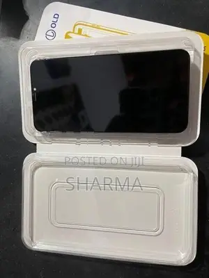 Apple iPhone XS Max Display