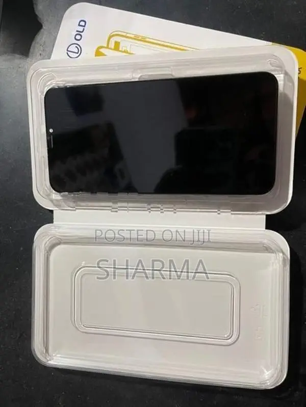 Apple iPhone XS Max Display