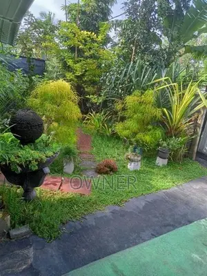 Luxury Furniture Anex for Rent kalalgoda