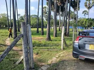 காணி விற்பனைக்கு துணவி