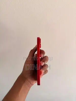 Apple iPhone 13 (Used)