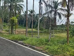 Land for Sale in Homagama