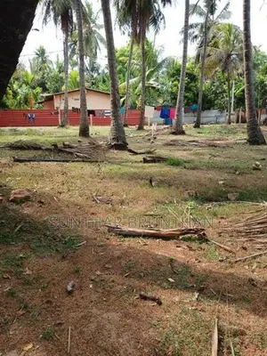 காணி விற்பனைக்கு உடுவில்