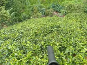Land for Sale Hatton