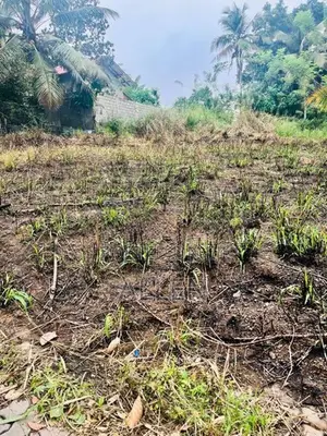 Land for Sale in Thunadahena - Malabe