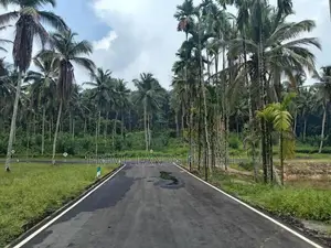Land for Sale in Homagama