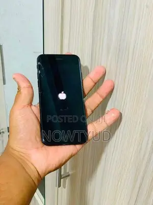 Apple iPhone 7 32GB (Used)