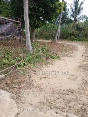 காணி விற்பனைக்கு உடுவில்