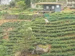 Land for Sale Hatton