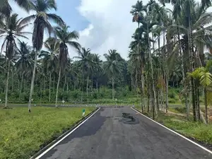 Land for Sale in Homagama