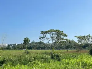 Malapalla ඉඩම්