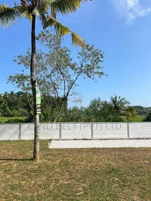 Malapalla ඉඩම්