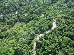Ella Mountain View Land for Sale