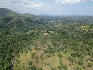 Ella Mountain View Land for Sale