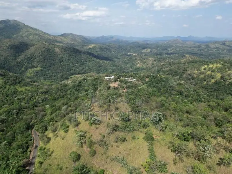 Ella Mountain View Land for Sale