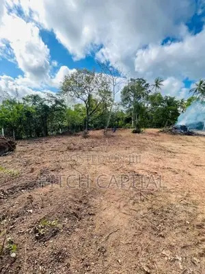 The Best Land In Hirikatiya