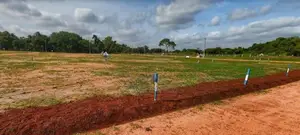 අනුරාධපුර බුලංකුලමෙන් සින්නක්කර නේවාසික බිම්කොටස් විකිණීමට