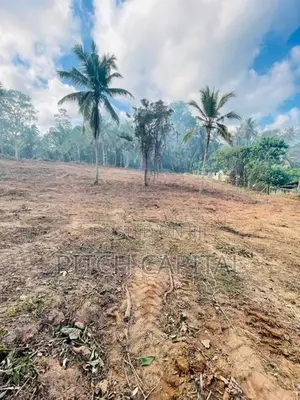 The Best Land In Hirikatiya
