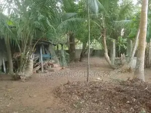 Valuable Residential Land for Sale in Mangala Mawatha, Kadawatha