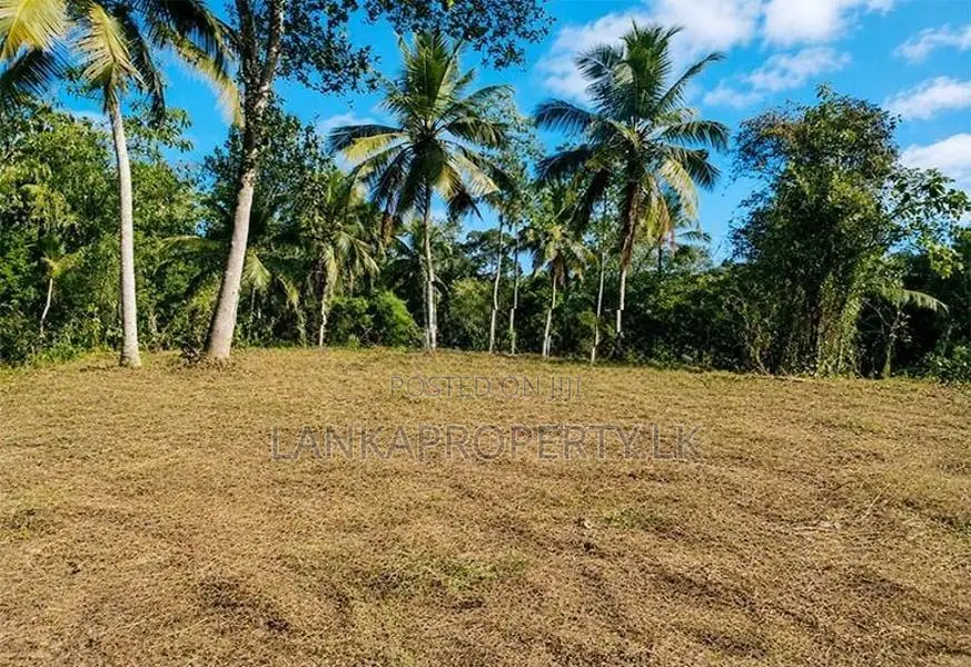 164 Perches of Valuable Land for Sale in Pannala