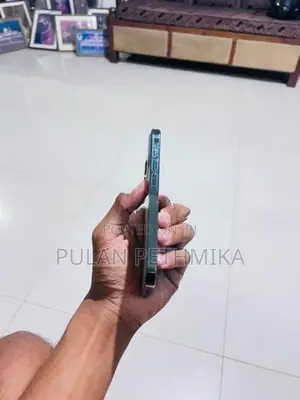 Apple iPhone 13 Pro (Used)