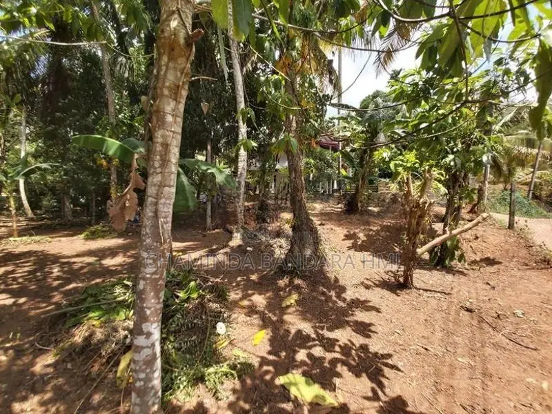 Land For Sale Dompe