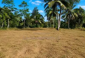 164 Perches of Valuable Land for Sale in Pannala