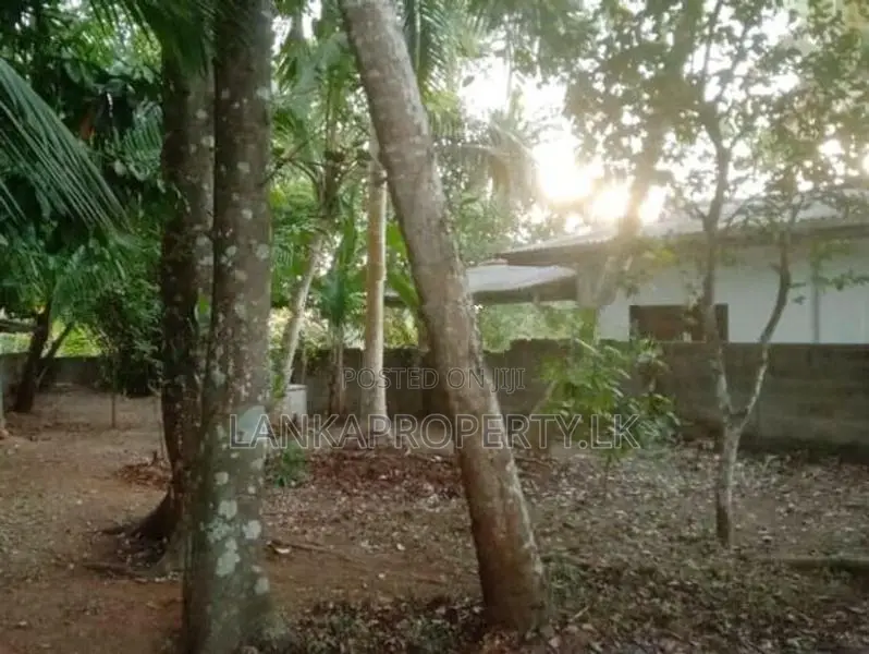 Valuable Residential Land for Sale in Mangala Mawatha, Kadawatha